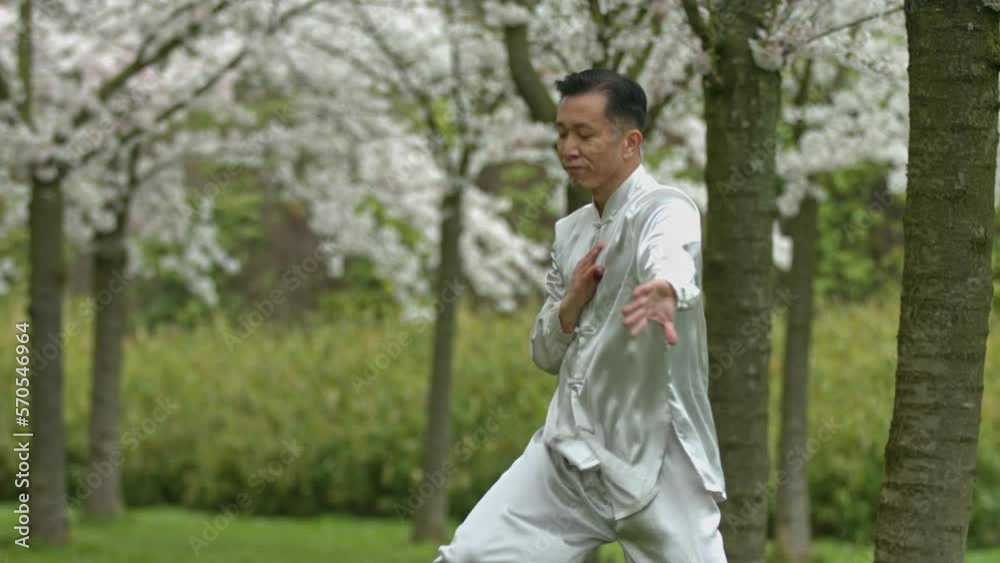 Chinese kung-fu warrior in kimono training in cherry orchard. Chinese kung-fu warrior in kimono training in cherry orchard.