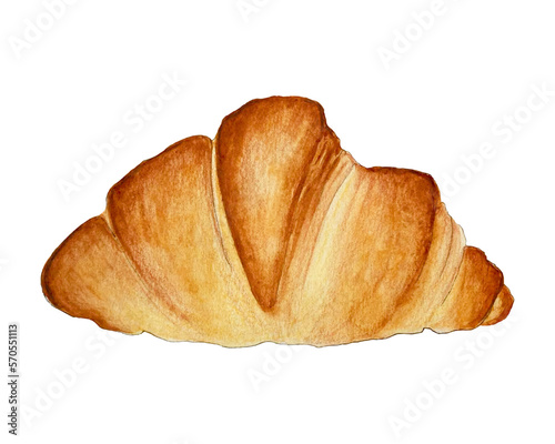 Croissant watercolor, hand drawn sketch. Vector illustration