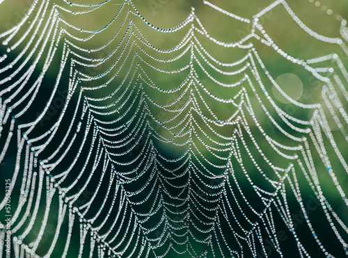 Macro image of the strands of a dew covered spider web.