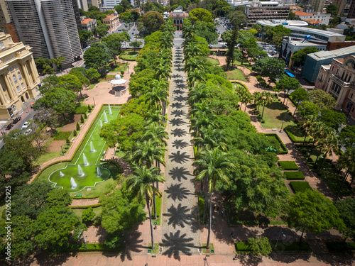 Fotografie Beautiful drone view to line of imperial palm trees on green square