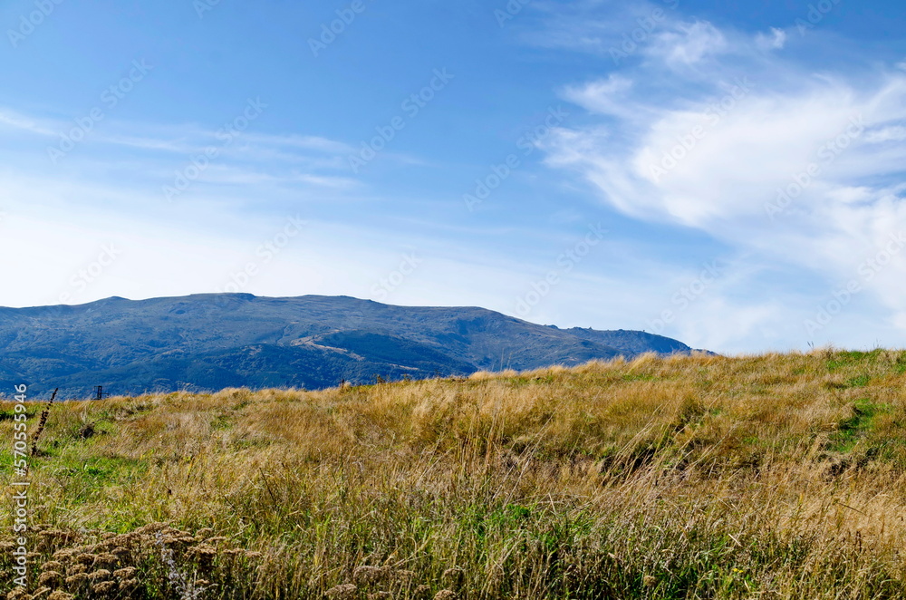 Beautiful landscape of autumn meadow and forest in Plana mountain against the background of Vitosha mountain, Bulgaria   
