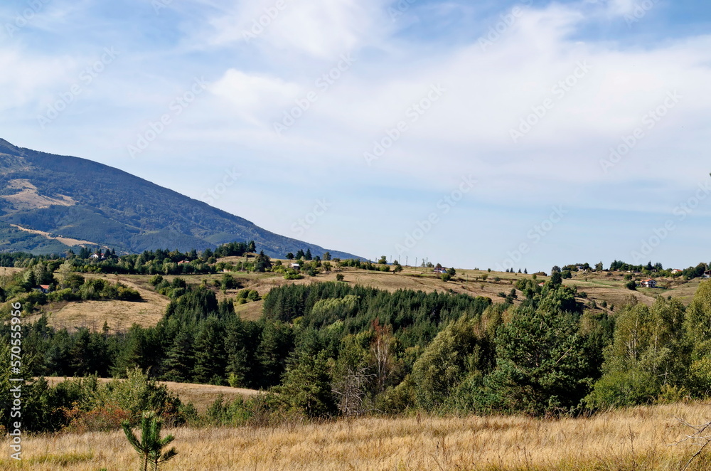 Scene with autumn meadow, forest and residential district of the Bulgarian village of Plana in the Plana mountain with the Vitosha mountain in the background, Bulgaria