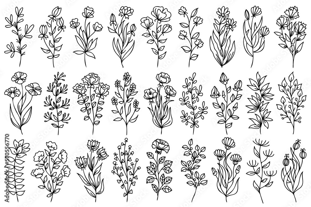 Line art vector Drawing. Set Of Plants, leaves and flowers. Black Sketch of botanical designs Isolated on White Background. Flowers vector Linear Illustration. Minimalist Prints Set. Line art vector Drawing. Set Of Plants, leaves and flowers. Black Sketch of botanical designs Isolated on White Background. Flowers vector Linear Illustration. Minimalist Prints Set.