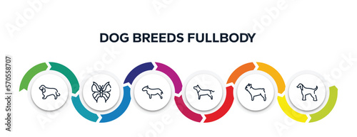 dog breeds fullbody outline icons with infographic template. thin line icons such as english cocker spaniel, leaf butterfly, bullterrier, american staffordshire terrier, french bulldog, afghan hound