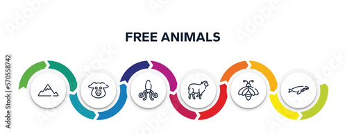 free animals outline icons with infographic template. thin line icons such as angular mountain, pig head, giant squid, black sheep, big bee, whale swimming vector.