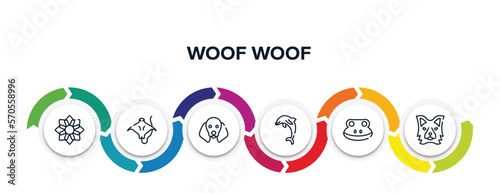 woof woof outline icons with infographic template. thin line icons such as angular flower, stingray with long tail, dog with floppy ears, jumping dolphin, frog head, border collie head vector.