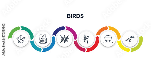 birds outline icons with infographic template. thin line icons such as starfish, vest, cobweb, bulrush, wagon, toucan vector.