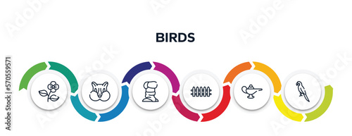 birds outline icons with infographic template. thin line icons such as poppy, chipmunk, turban, fence, magic lamp, parrot vector.