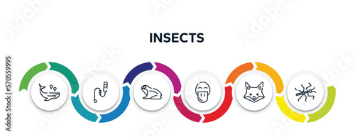 insects outline icons with infographic template. thin line icons such as whale, teasing stick, frog, platypus, fox, mantis vector.