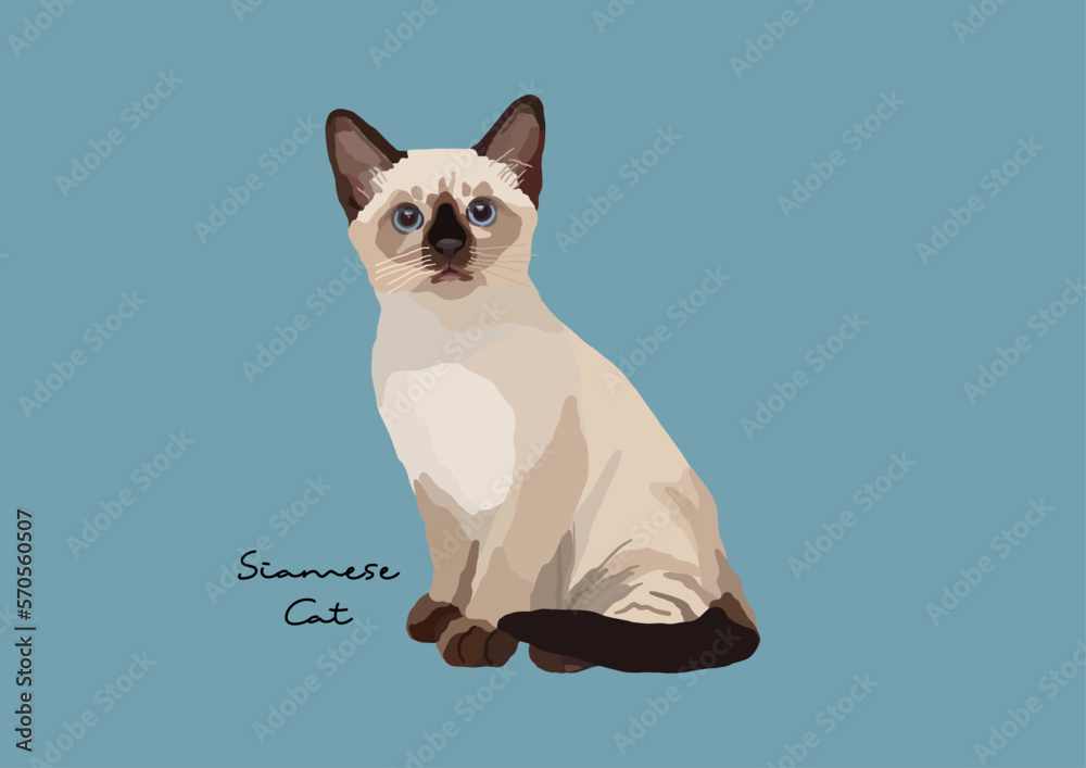 Wichien maat cat sales