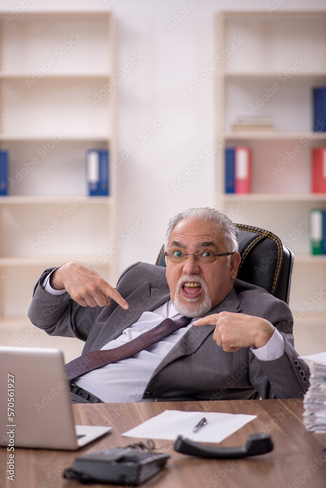 Old male employee working in the office