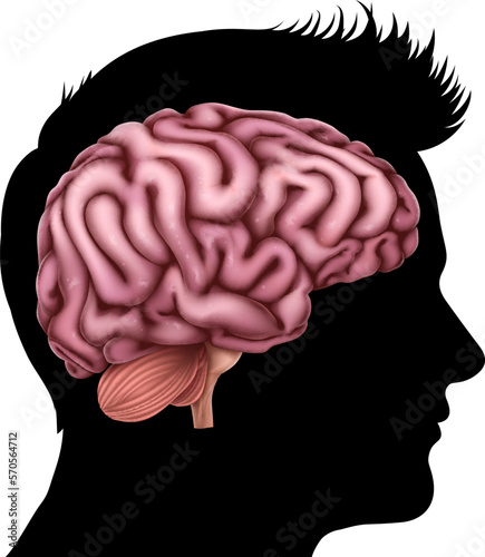Conceptual illustration of a mans head in silhouette profile with brain.