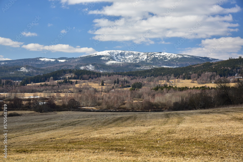 Naklejka premium Plechy lake Sumava lake wall