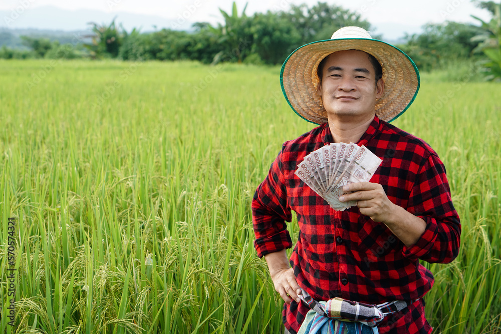 Asian farmer man is at paddy field, wears hat and red plaid shirt, hold Thai banknote money.  Concept : Farmer happy to get profit, income, agriculture supporting money.