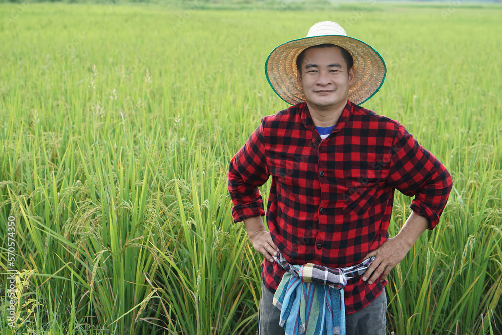 Handsome Asian man farmer is at paddy field, wears hat, red plaid shirt, put hands on hips. Concept : Agriculture occupation. Thai farmer. Organic farming.            