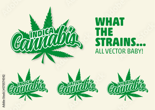 Cannabis Sorten Genetik Indica Sativa Hybrid Vektor Vorlage