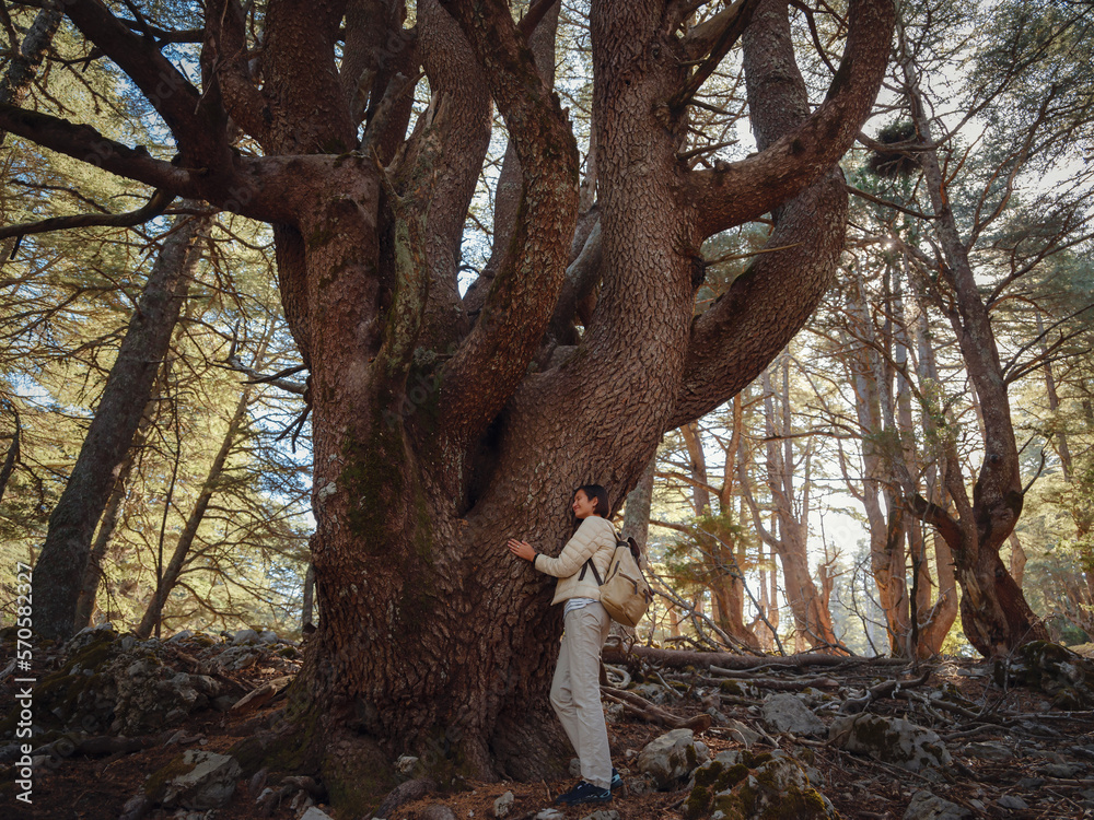 Obraz premium asian woman enjoys being in nature, beautiful forest in mountains. embracing fresh air and engaging in outdoor activities. Friluftsliv concept means spending as much time outdoors as possible