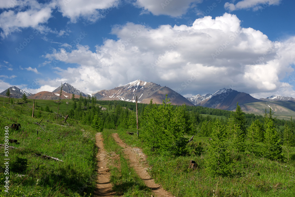 Mountain highland path at green spring hill with green trees on the background of high snow range under blue sky Altai Siberia Russia