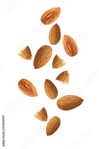 Almond isolated. Almonds on white background. Almond set.