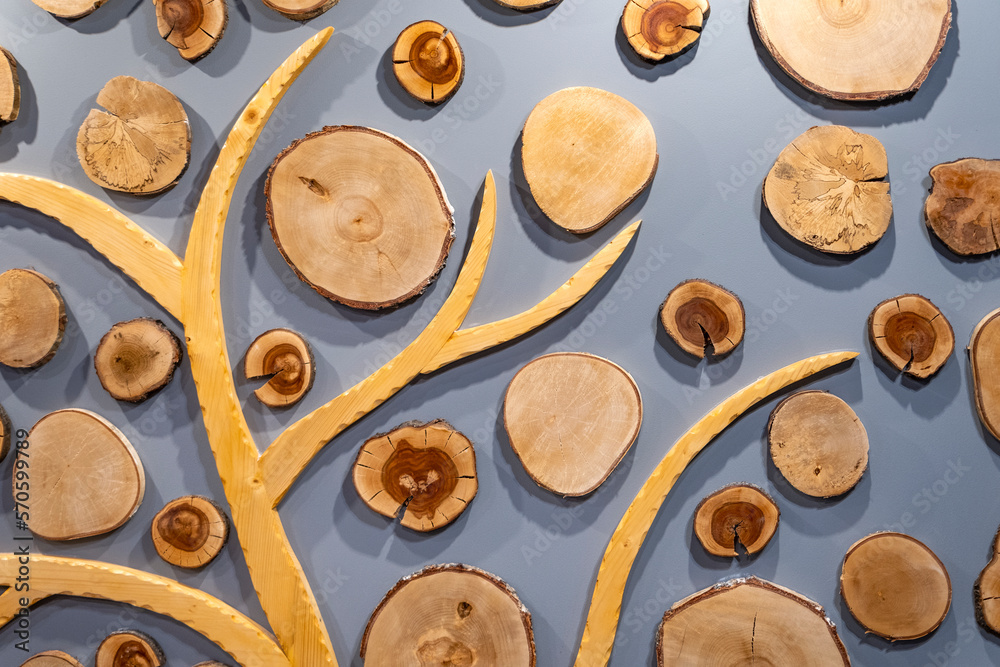Wall is decorated with wooden cut. Interior decoration with wood. Abstract wooden tree on background. Wall is decorated with wooden cut. Interior decoration with wood. Abstract wooden tree on background.