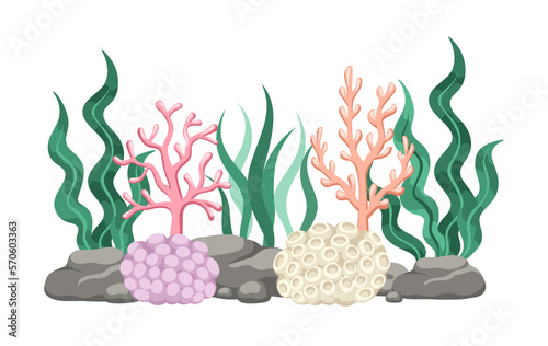 Coral reefs with algae, seaweed and rocks vector cartoon illustration