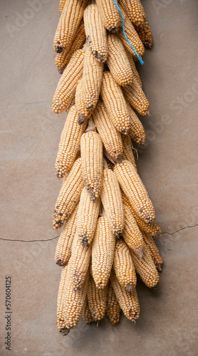 Mazorcas de maiz colgando en pared  al aire libre