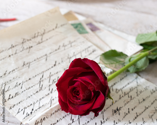 A handwritten letter with beautiful handwriting on top of the letter is a red rose