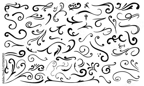 Calligraphy Curvy Line Floral Decoration. Hand drawn decorative curls and swirls. Flourish swirl ornate decoration for pointed pen ink calligraphy style.