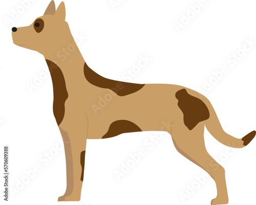 Cute spotted brown dog. Vector element of design
