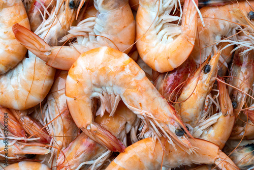 Macro image of raw whole shrimp photo