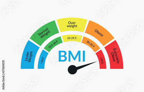 Body Mass Index Infographic Chart. Colorful BMI Chart Vector Illustration With White Isolated Background