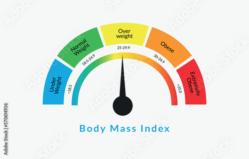 Body Mass Index Infographic Chart. Colorful BMI Chart Vector Illustration With White Isolated Background photo