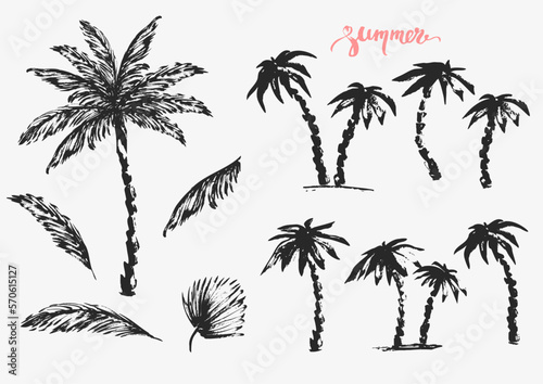 Hand drawn palm trees and leaves black ink sketch set.