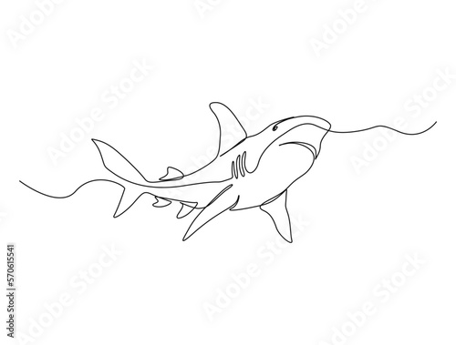 Continuous one line drawing of shark fish. Simple illustration of saltwater fish line art vector illustration