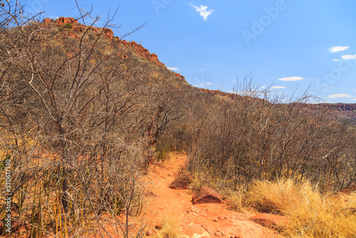 View towards the Waterberg Plateau, Waterberg Plateau National Park, Namibia.