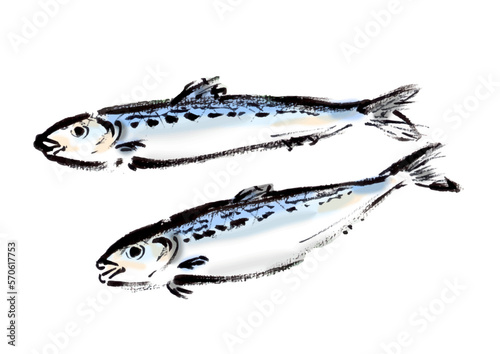 イワシの手描き和風イラスト和風素材
