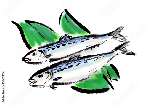 イワシの手描き和風イラスト和風素材