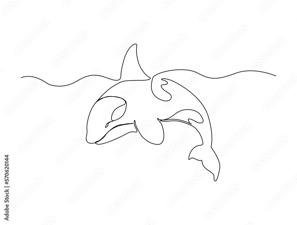 Continuous one line drawing of killer whale. Simple illustration of orca whale line art vector illustration Continuous one line drawing of killer whale. Simple illustration of orca whale line art vector illustration