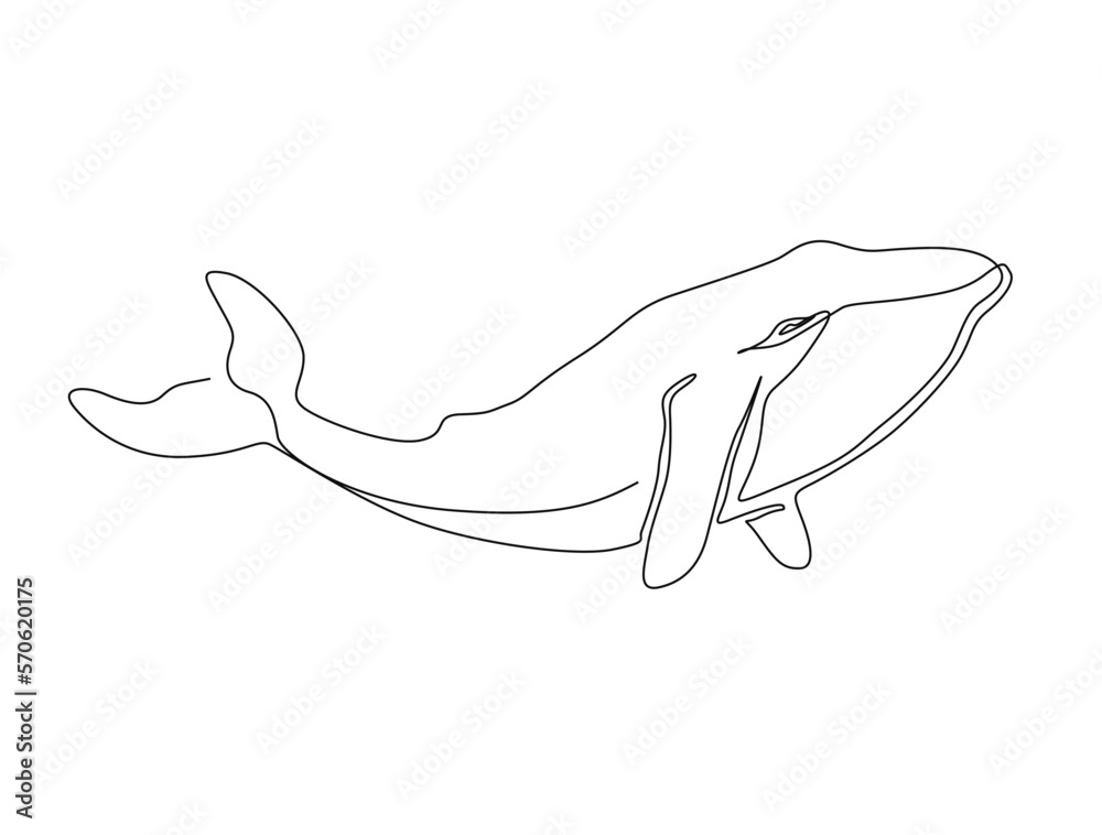 Continuous one line drawing of whale. Simple illustration of humpback whale line art vector illustration Continuous one line drawing of whale. Simple illustration of humpback whale line art vector illustration