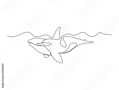 Continuous one line drawing of killer whale. Simple illustration of orca whale line art vector illustration
