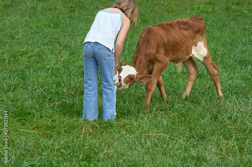 feeding calf