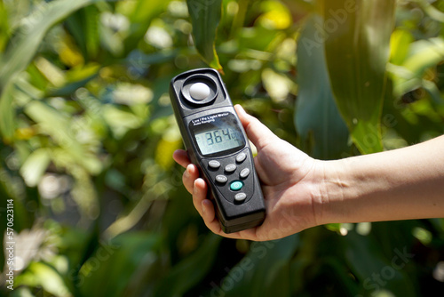 Light meter, Lux Light Meter in hand while measuring light intensity quantity and the brightness of the light suitable for the tree. soft and selective focus. photo