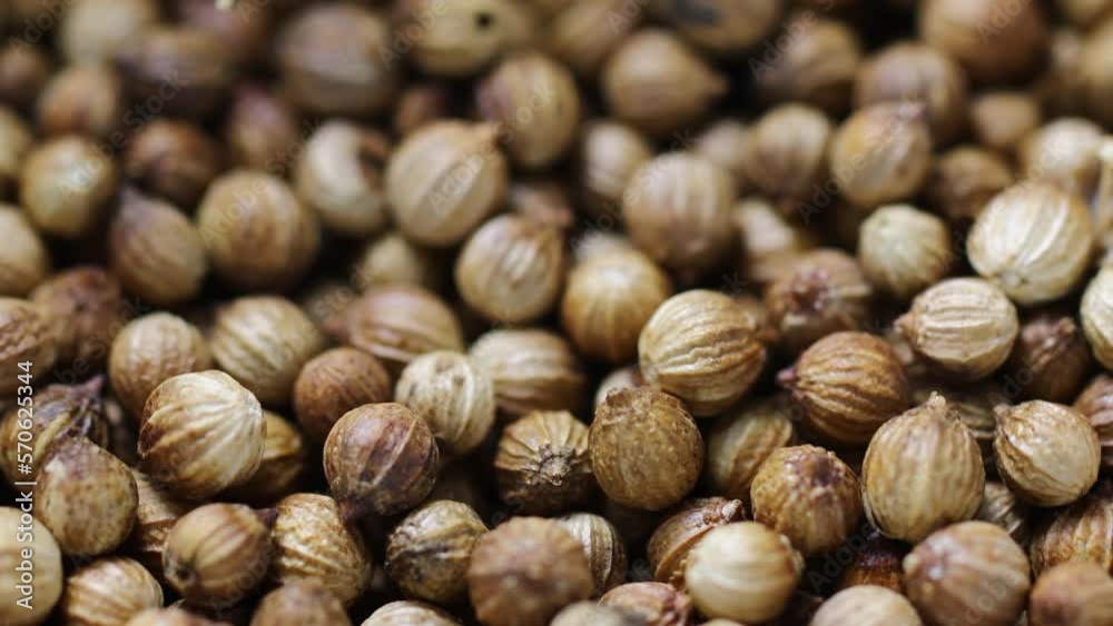 a pile of natural dried coriander rotates in a circle. side view a pile of natural dried coriander rotates in a circle. side view