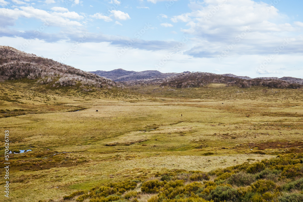 Snowy Mountains View on Cascade Hut Trail in Australia