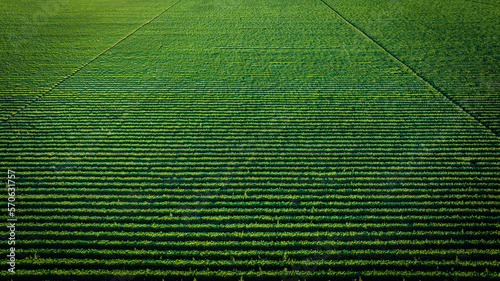 Sunset over Homestead