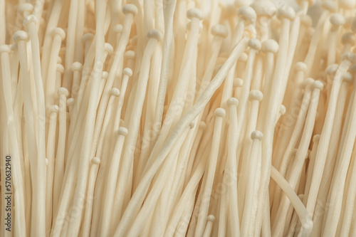 A bunch of enoki mushrooms close up. mushroom background