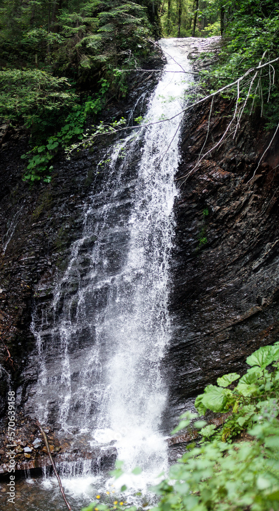 Fototapeta premium A high waterfall falls in the middle of a green forest