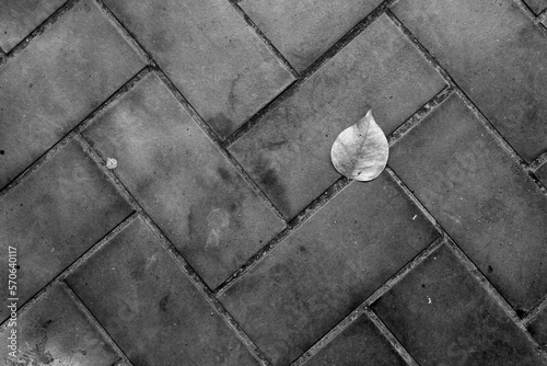 Black brick wall texture background