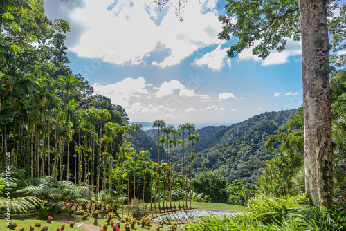 View   from Jardin de Balata in Martinique, France