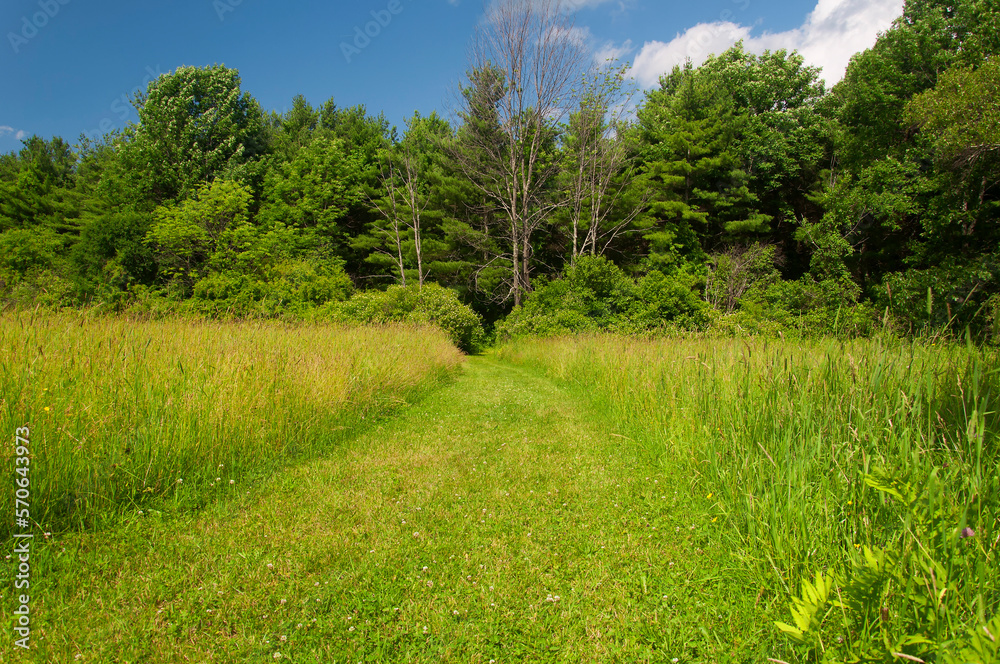 walking path through a meadow in litchfield connecticut walking path through a meadow in litchfield connecticut